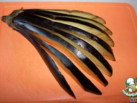 ���� �� ���������� �����������