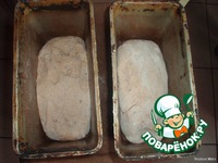 ������ ���� � ������� ������ � �������� �����������