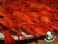 ���� ������� � ������� �����������