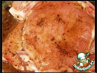 ������� � ������-������������ �������� �����������