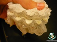 ��������� ��������� "����� ���" �����������