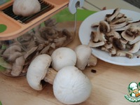 ������ �� ����������� �����������