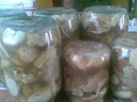 ����� ������������ �����������