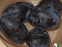 ������� ������ �� �������� �������� �����������