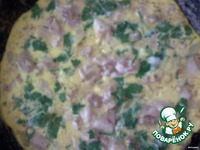 �����  ������������ �����������