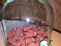 ������ "����������" �����������