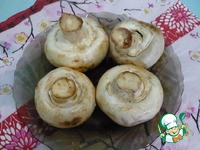 ������� ������������� ������� ������ �����������