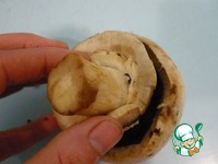 ������� ������������� ������� ������ �����������