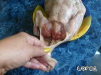 ������������� ������, ��� �� ����� �����������