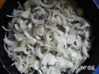 ��������� � ����� "������� �����" �����������