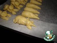 ������� "�����-�����" �����������