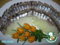 ���������, ���������� � �������������, � ������� �����������