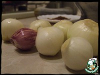 �����-������� ���� �� ��������� ����� �����������