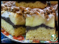 �������-�������  ����� �����������