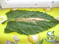 ������ �������� �����������