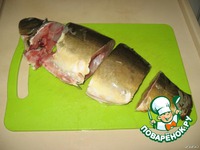 ���� ������������� �����������