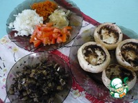 ������� ������������� ������� ������ �����������