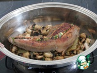 ������������� ���� � ��������-�������-������� ����� �����������