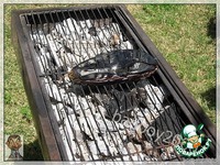 ��������� � ������ �����������