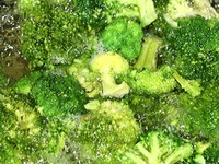 ������� � ��������, ���������� � ����� �����������