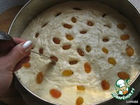 ���� ��������� �����������