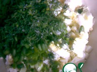 ������������ �������� �����������