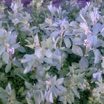 ������ ����� � ������������� ����� ������ � ������