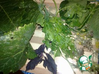 ����� ������� ������ �����������