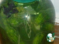 ����� ������� ������ �����������