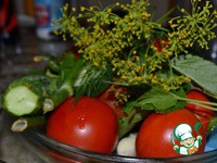 ������������ ����� �����������