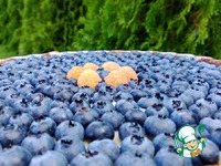 ���� � ��������� �����������