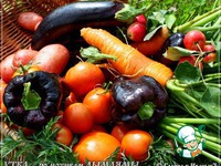 ���� �� ������� ������� �����������