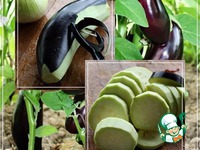 ���� �� ������� ������� �����������