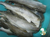 ������ � ����� �����������