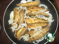 ������ � ����� �����������