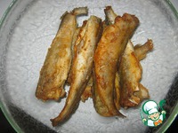 ������ � ����� �����������