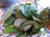 ������ � ������� �����������