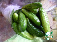 ������ � ������� �����������