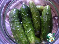 ������ � ������� �����������