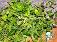 ���� ������� ����� �����������