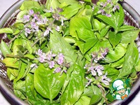 ���� ������� ����� �����������