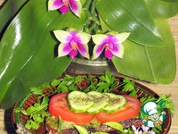 ���� ������� ����� �����������