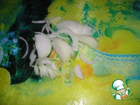 ������ ������� �����������