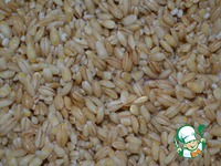 ���������� �����������