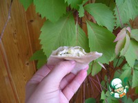 ������ ����� ��� ������� � ������ �����������