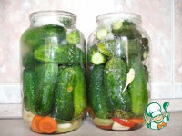 ���������� ������������ ������ �����������