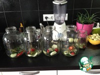 �������� � �������� �����������