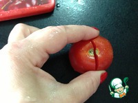 �������� � �������� �����������