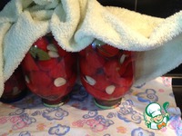 �������� � �������� �����������