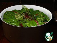 ������� "��������" �����������